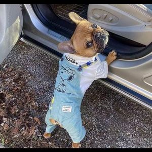 Snoopy overalls
